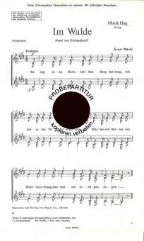 Im Walde 