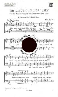 Heimweg im Schneetreiben 