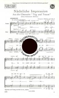 Nächtliche Impression 