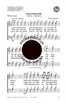 Novemberlied 