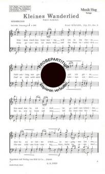 Kleines Wanderlied 
