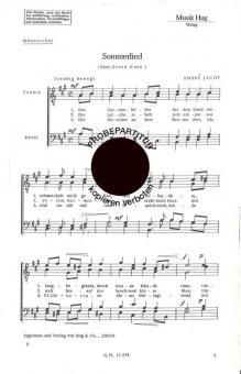 Sommerlied 