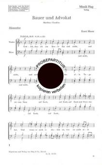 Bauer und Advokat 