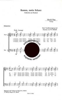 Komm mein Schatz 