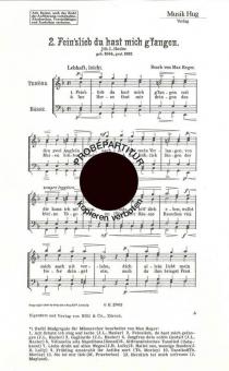 Feinslieb du hast mich 