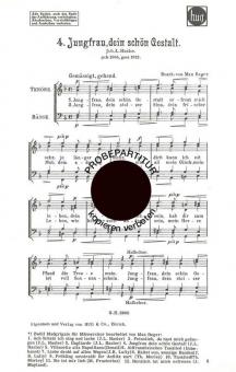 Jungfrau dein schön 