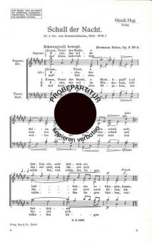 Schall der Nacht 