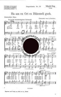 Ha am en Ort es Blümeli 
