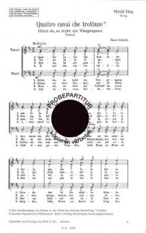 Quattro cavai che trottano 