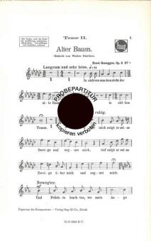 Alter Baum 