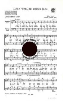 Lebe wohl du müdes Jahr 