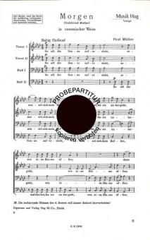 Morgen 