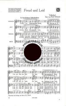 Freud und Leid 