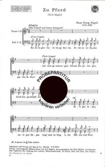 Zu Pferd 