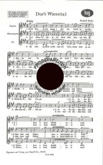 Durs Wiesetal 