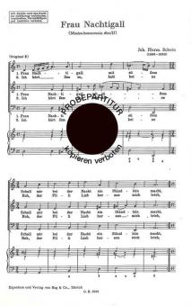 Frau Nachtigall 