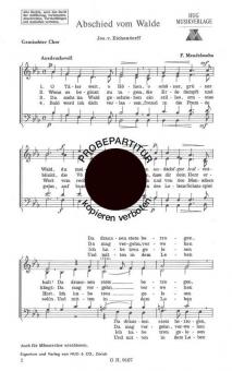 Abschied vom Walde 
