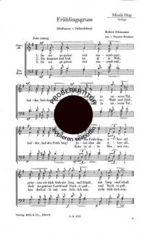 Frühlingsgruß op. 79/4 