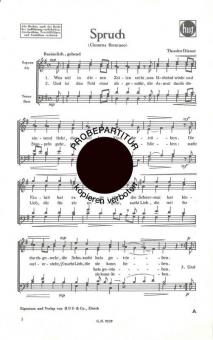 Spruch 