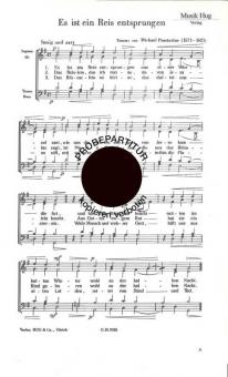 Es ist ein Reis entsprungen 