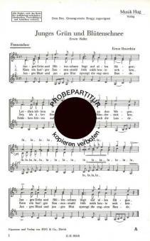 Junges Grün und Blütenstaub 