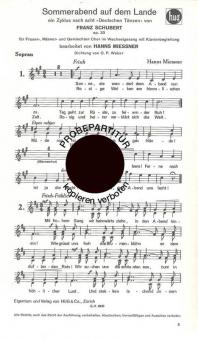 Sommerabend auf dem Lande 