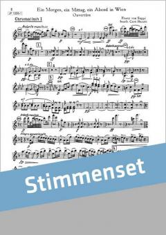 Ein Morgen, ein Mittag, ein Abend in Wien 