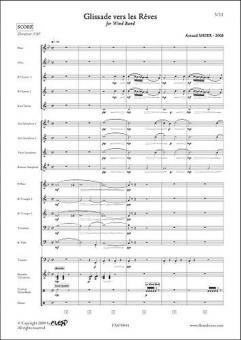 Glissades vers les reves 