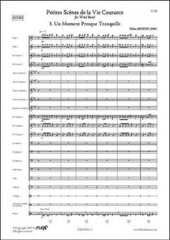 Un Moment Presque Tranquille 