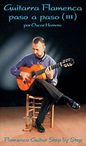 Guitarra Flamenca paso a paso 