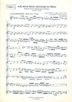 Ach, mein Herze schwimmt im Blute TVWV 1:29 