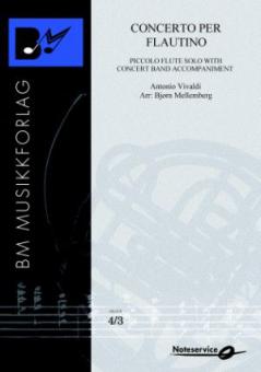 Concerto per flautino 