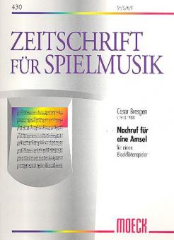 Nachruf auf eine Amsel 