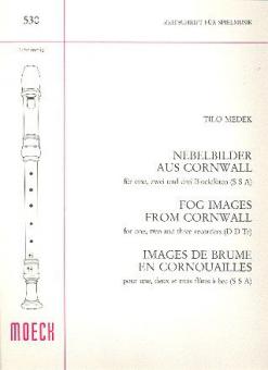 Nebelbilder aus Cornwall 