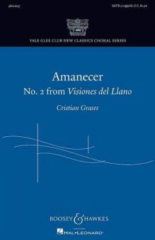 Visiones del Llano Nr. 2: Amanecer 