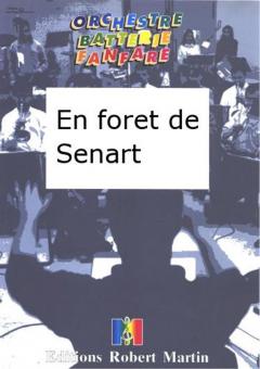 En foret de Senart 