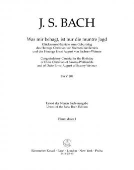 Was mir behagt, ist nur die muntre Jagd 