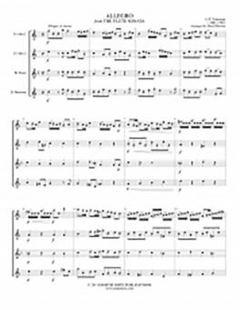 Allegro from the Flute Sonata 
