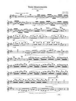 Erwachen zur Vollkommenheit 1 