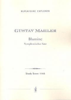 Blumine' Symphonischer Satz 