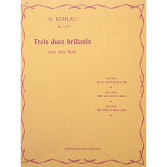 Trois Duos Brillants op. 13 Bis 