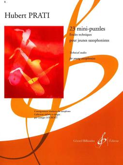 23 Mini Puzzles 