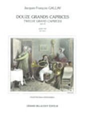 12 Grands Caprices op. 32 
