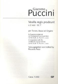 Vexilla Regis prodeunt Standard