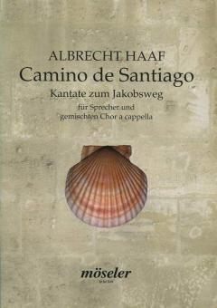 Camino de Santiago Standard