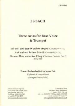 3 Arien für Bass und Trompete 