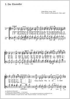 Der Einsiedler 