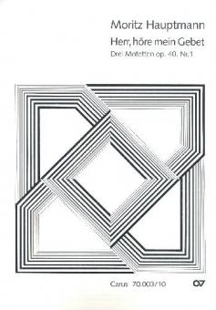 Herr, höre mein Gebet 