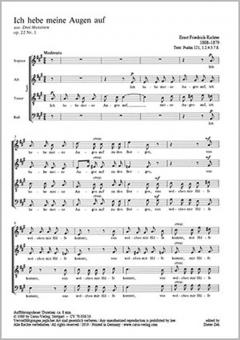 Ich hebe meine Augen auf 