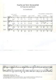 Nachts auf dem Sternenfeld 